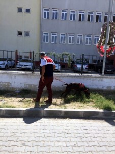 Jandarmadan 'Okul Güvenliği' Uygulaması