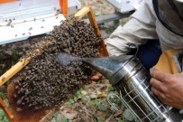 KAR SUYU - Arıcılar Arılarını Kışa Hazırlamaya Başladı