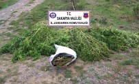 Sakarya'da 5 İlçede Uyuşturucu Operasyonu