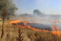 Anız Yangını Büyümeden Söndürüldü