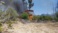 Antalya'da Meyve Bahçesinde Yangın