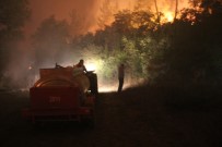 Bolu'da Yangın 7 Saattir Sürüyor