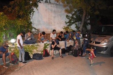Muğla'da 24 Kaçak Göçmen Yakalandı