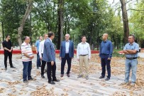MEZAR TAŞLARı - Muradiye Parkı Açılış İçin Gün Sayıyor