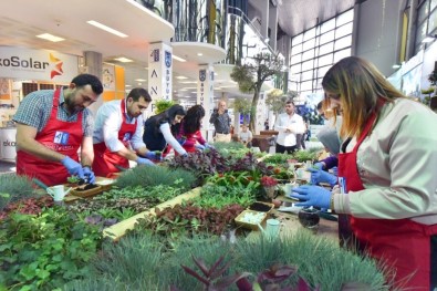 Fuarda Ziyaretçilere Teraryum Sürprizi