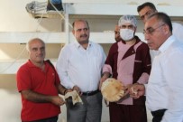 MAHMUT KıLıÇ - Kızıltepe'de Suriyeliler İçin Ekmek Yapan Fabrika Kuruldu