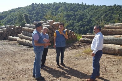 Orman Bölge Müdürü Keskin Akçakoca'da İncelemelerde Bulundu