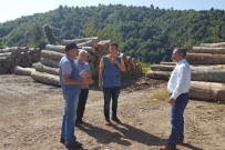 HASAN KESKIN - Orman Bölge Müdürü Keskin Akçakoca'da İncelemelerde Bulundu