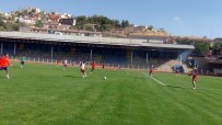 MARDINSPOR - Türkiye Liglerinde Geçen Senenin Namağlup Takım Sahipsizlikten Yakınıyor