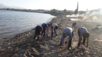 MEHMET ALİ ÖZKAN - Van Gölü'nün Sahilinde Çevre Temizliği Yapıldı