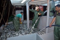 Av Yasağı Kalktı, Balıkçılar Bayram Etti