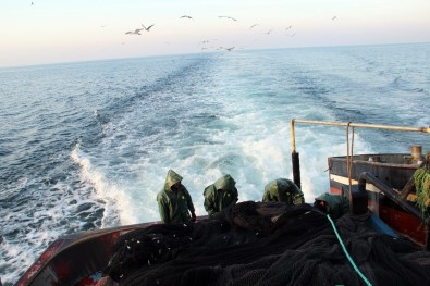 Balıkçılar Çocuklarının Balıkçı Olmasını İstemiyor