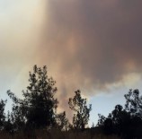 Bolu'da Orman Yangını Tekrar Başladı