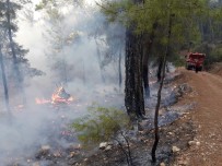 POLAT KARA - Kumluca'daki Orman Yangını Kısmen Kontrol Altına Alındı