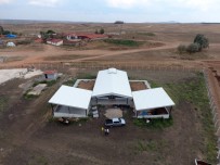 DOĞAL ÜRÜN - Odunpazarı Belediyesi Solucan Gübresi Üretiyor