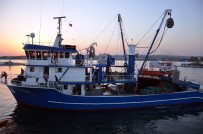 Av Yasağı Kalktı, Balıkçılar Bayram Etti