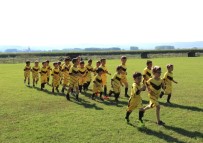 SERDİVAN BELEDİYESİ - Serdivan Yaz Spor Okulları'ndan 900 Öğrenci Mezun Oldu