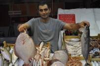 BALIK FİYATLARI - Balık Sezonu Açıldı Tezgahlar Canlandı