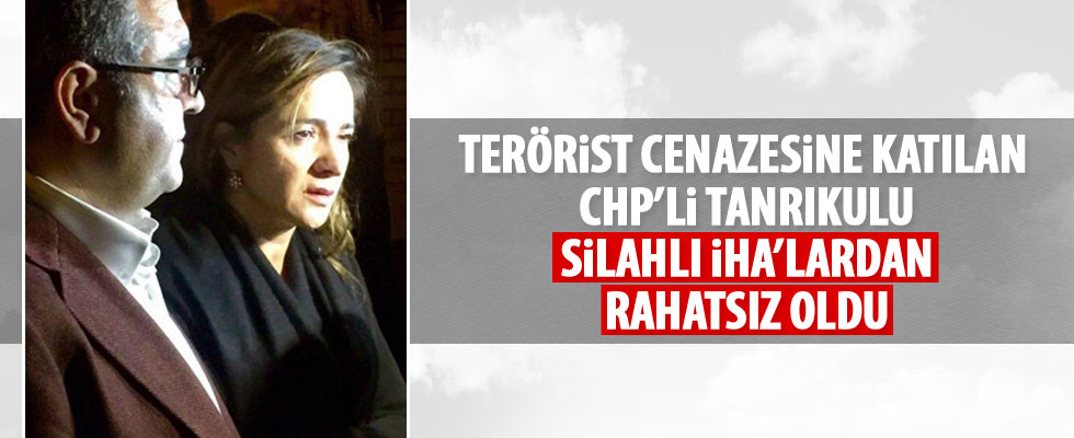 CHP'li Tanrıkulu SİHA'lardan rahatsız