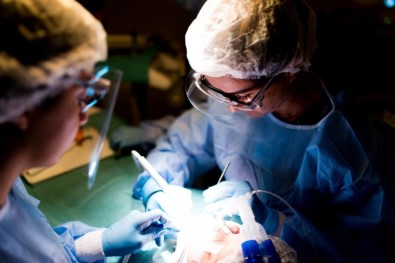 Hasta Yakınlarından Kartal Belediyesi Çocuk Ağız Ve Diş Sağlığı Merkezi'ne Tam Not