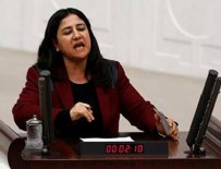 ÇAĞLAR DEMİREL - HDP milletvekili Demirel hakkında fezleke