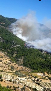 Alevlerin Yaklaştığı Zeytinköy Tahliye Ediliyor