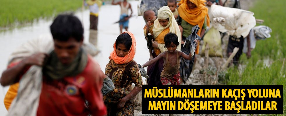 Arakanlılara mayın tehdidi