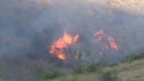 ORMANA - Arazide Çıkan Yangın Ormana Sıçradı