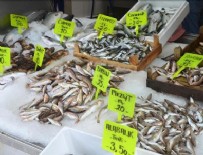BARBUNYA - Balık fiyatları yarı yarıya düştü