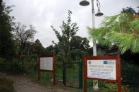 ALI ARSLAN - Kadıköy'deki Okullarda Hasat Zamanı