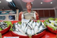 GıRGıR - Palamutun Yerini Uskumru Aldı