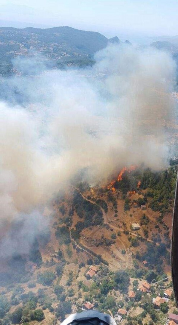 Muğla'da orman yangını