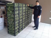 TOPTANCI HALİ - 61 Ton Kayıt Dışı Meyve Sebzeye Müdahale