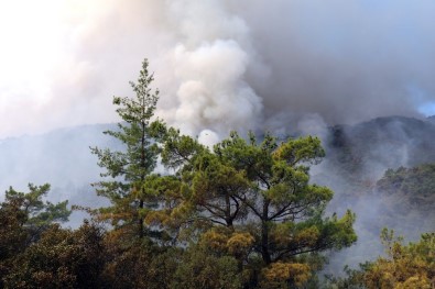 Antalya'daki Yangını Söndürme Çalışmaları Devam Ediyor