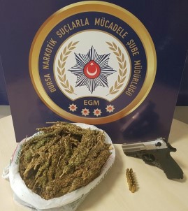 Bursa'da Uyuşturucu Operasyonları Devam Ediyor Açıklaması 11 Gözaltı