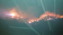 Erzurum'da Ormanda Çıkan Yangın Güçlükle Kontrol Altına Alındı Haberi