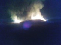 Kozan'da Orman Yangını