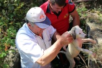 YAVRU KÖPEK - Kuyudaki Mazgala Sıkışan Yavru Köpeği İtfaiye Kurtardı
