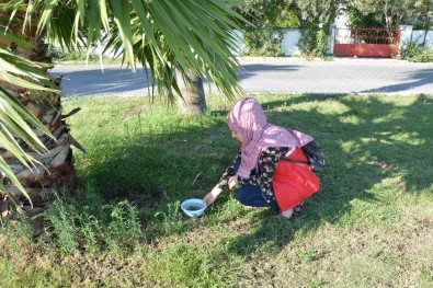 Öğrenciler Sokak Hayvanları İçin Su Kabı Bıraktı