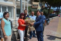 ORHAN TAVLı - Vali  Tavlı'dan Türkiye Gaziler Ve Şehit Aileleri Vakfı Çanakkale Şubesine Ziyaret