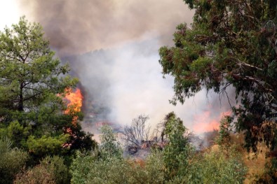 Antalya'daki Yangın 34 Saattir Devam Ediyor