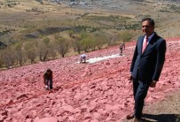 TARIHÇI - Atatürk Portresinin Ardından Türk Bayrağı Da Yenilendi