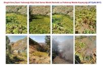 NARKOTİK OPERASYONU - Bingöl'de 148 Kilo Kubar Esrar İle 1 Milyon 59 Bin Kök Kenevir Ele Geçirildi