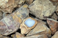 KAYHAN - Eskişehir'den Çıkıyor, Çinlilere Satılıyor