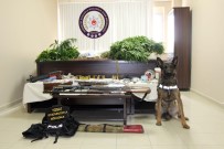 HINT KENEVIRI - Evinde Uyuşturucu Üreten Şahıs Tutuklandı