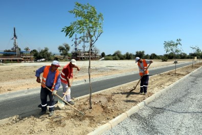 Manavgat Belediyesi Irmak Kenarını Ağaçlandırıyor