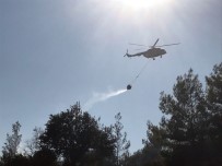 Muğla Menteşe'de Yangın Paniği