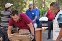 ORGANIK TARıM - Organik Gıdalar Sağlıklı Ambalajda