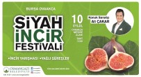 DıŞ GÖRÜNÜŞ - Osmangazi'de Siyah İncir Festivali