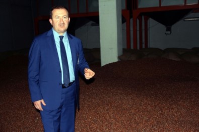 TMO Genel Müdürü Kemaloğlu Açıklaması 'Fındık Üreticisi Acele Etmesin, Fiyat Arzu Ettikleri Seviyeyi Bulacak'